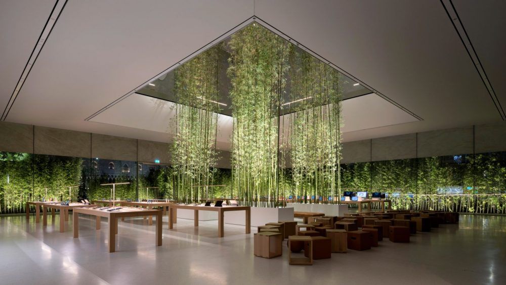tela tensionada com plantas