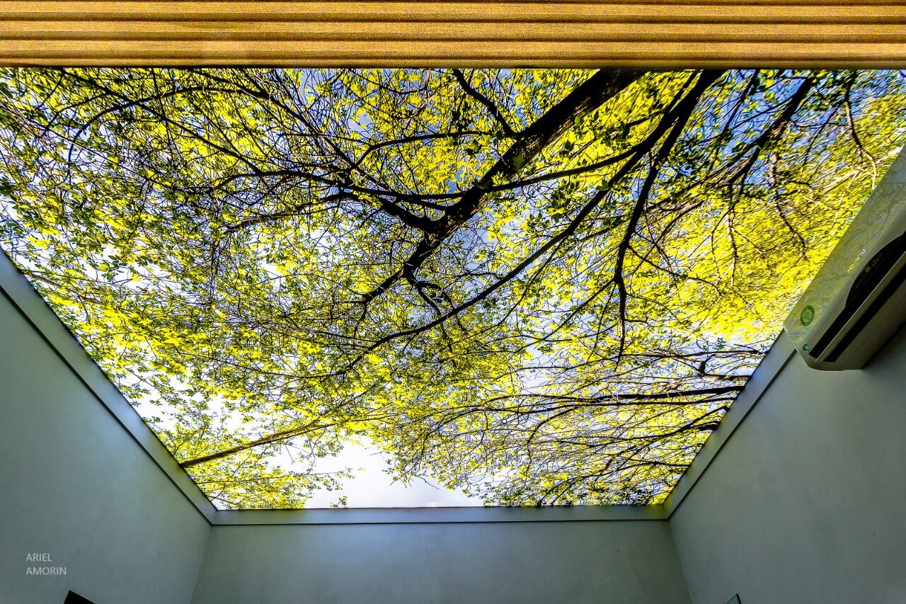 tela tensionada teto